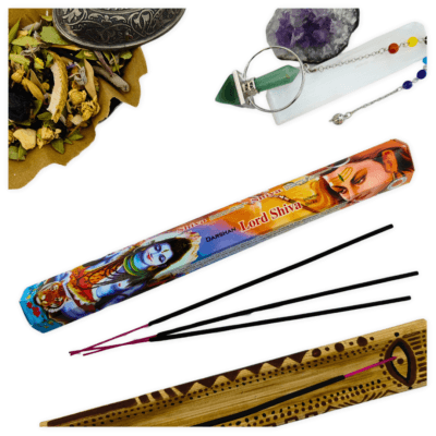 Darshan Lord Shiva Çubuk Tütsü