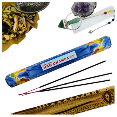 Darshan Nag Champa Çubuk Tütsü