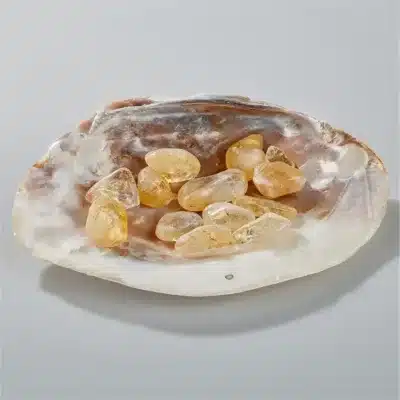 Cüzdan boy tamburlu sitrin taşı