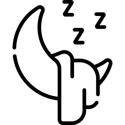 Uyku